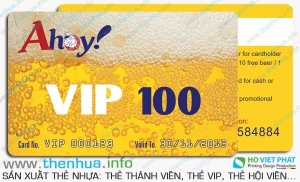 Địa chỉ in mẫu thẻ VIP uy tín